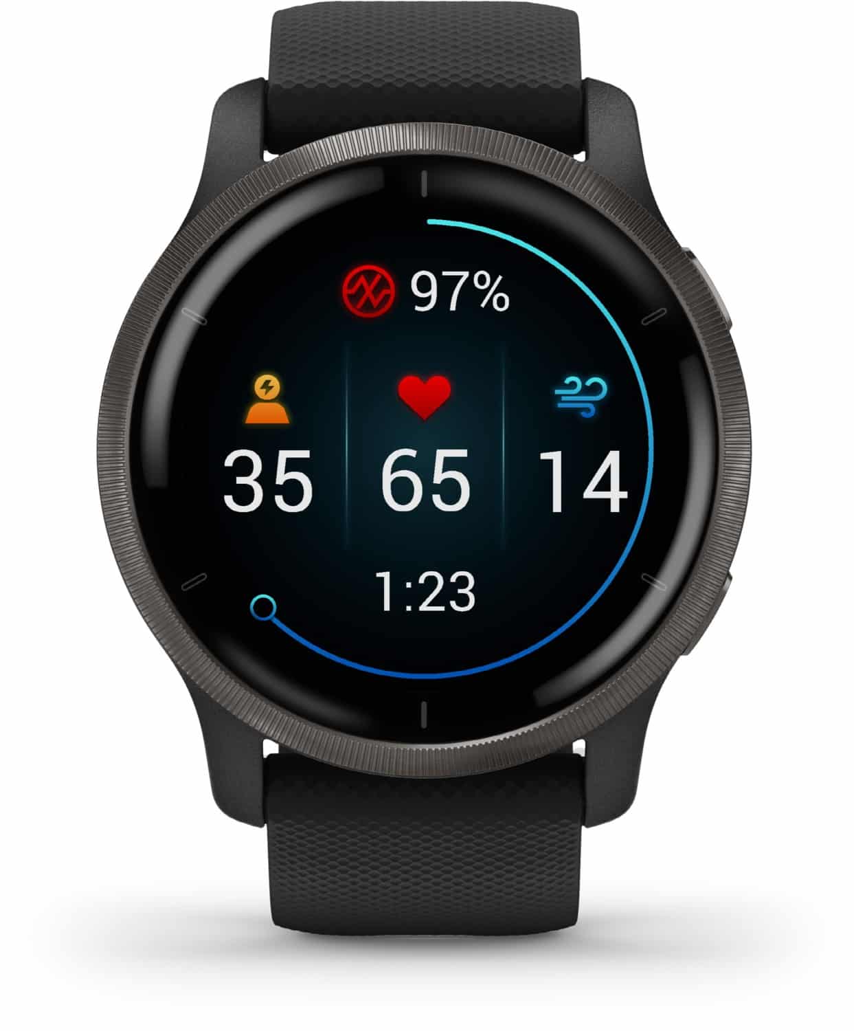 Garmin Venu 2 Smartwatch schwarz/schiefergrau